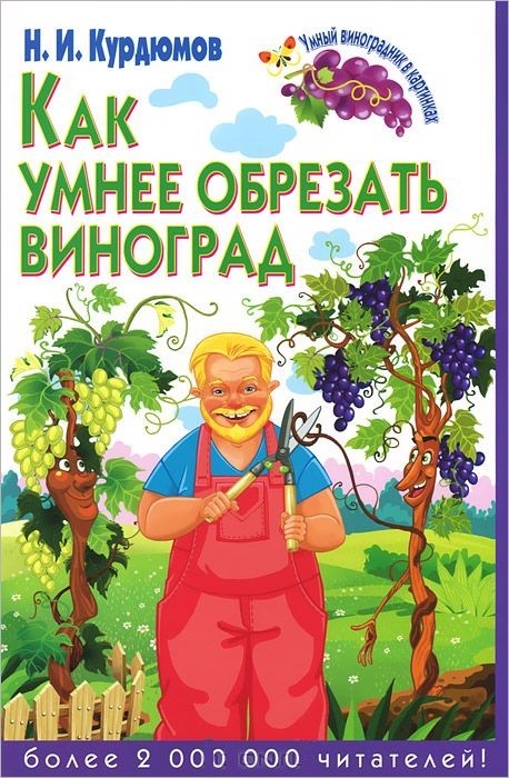 Как умнее обрезать виноград | Умный виноградник в картинках
