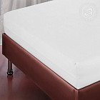 подснежник подснежник