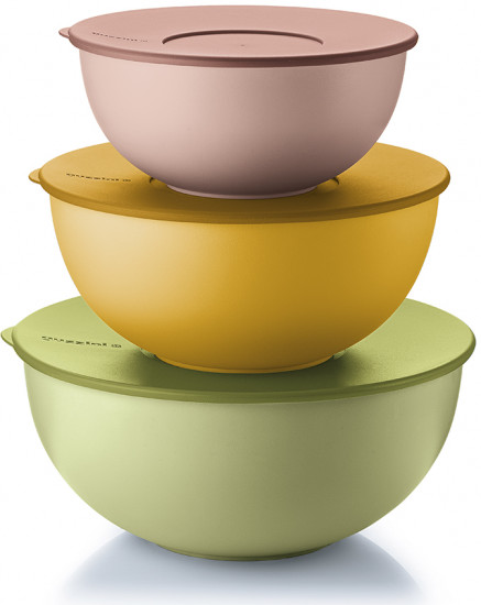 Набор мисок с крышками «Everywhere Bio»