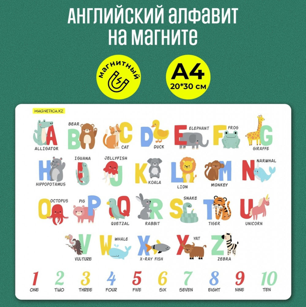 Английский алфавит на магните | Magnetica