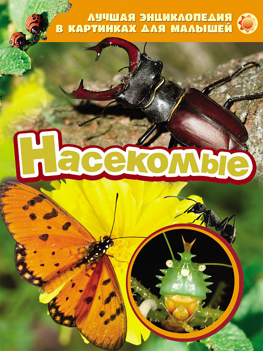 Насекомые | Лучшая энциклопедия в картинках для малышей