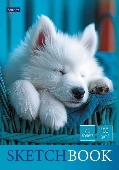 Скетчбук «Premium» | Носики и ушки | Hatber