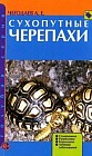 Сухопутные черепахи: Содержание; Разведение; Кормление и др.