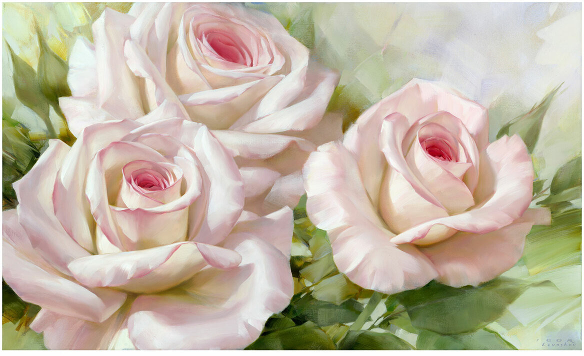 Алмазная мозаика «Бело-розовые розы» | Остров сокровищ