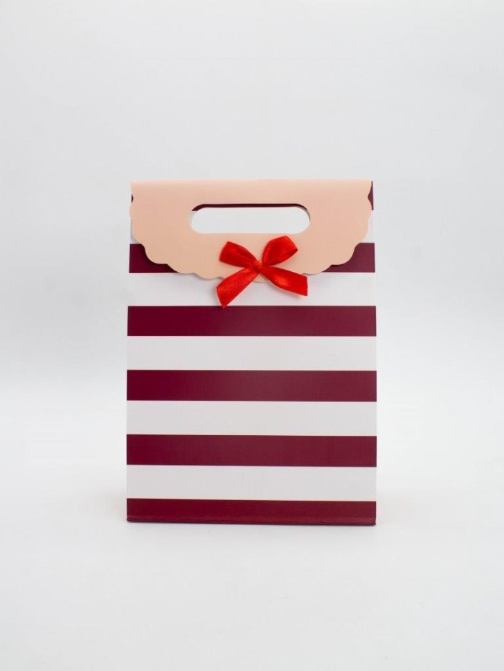 Пакет подарочный «Many stripes» | I like gift | Toki