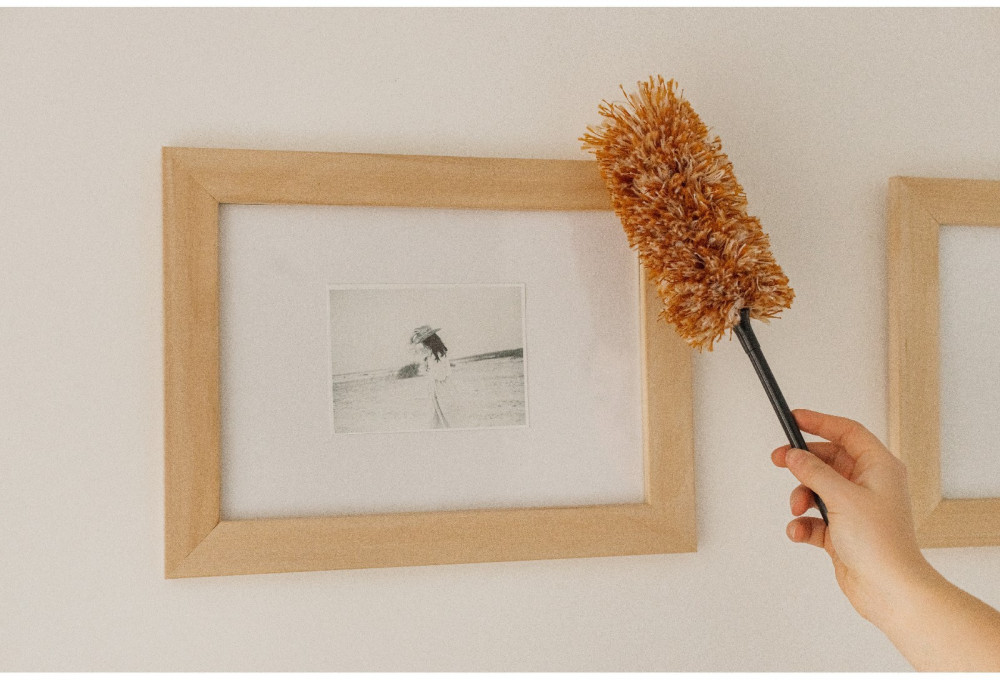 Щетка для удаления пыли «Антистатик» | ИнтерPresent