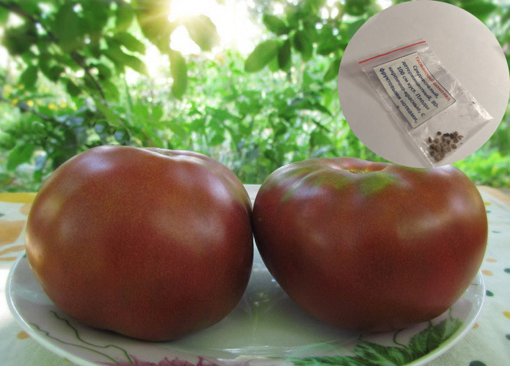 Коллекционные семена томата «Тасманский шоколад»