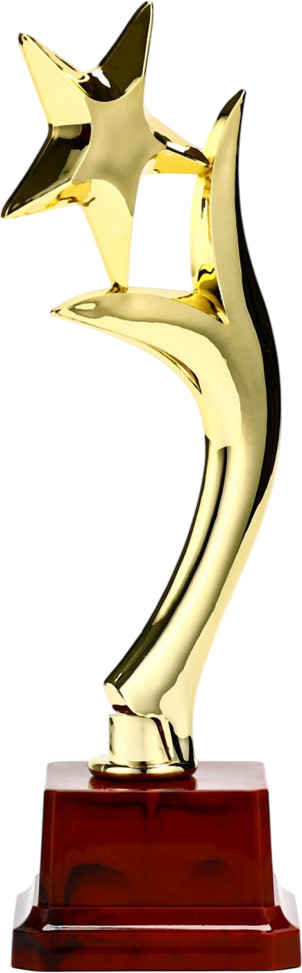 Фигура наградная «Звезда и пламя» | ИнтерPresent