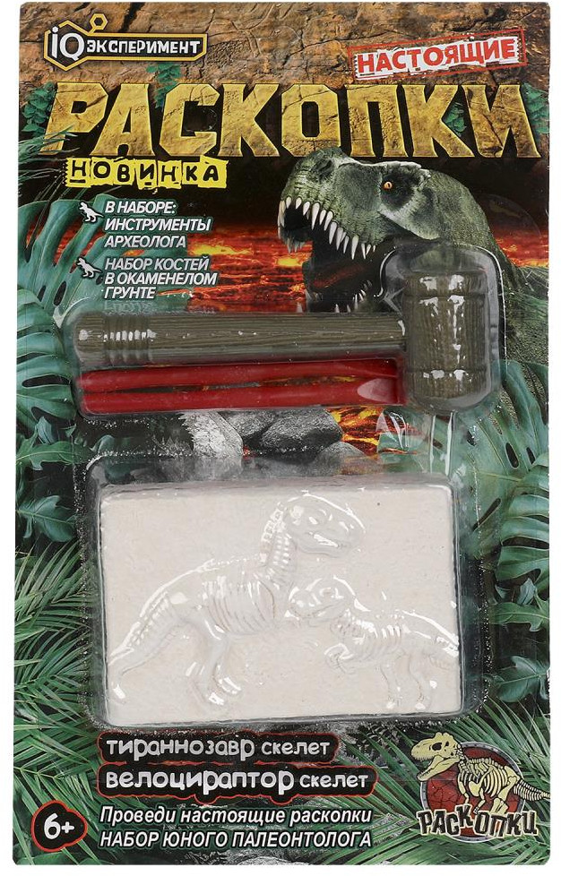 Игровой набор «Настоящие раскопки» | Настоящие раскопки | IQ Эксперимент