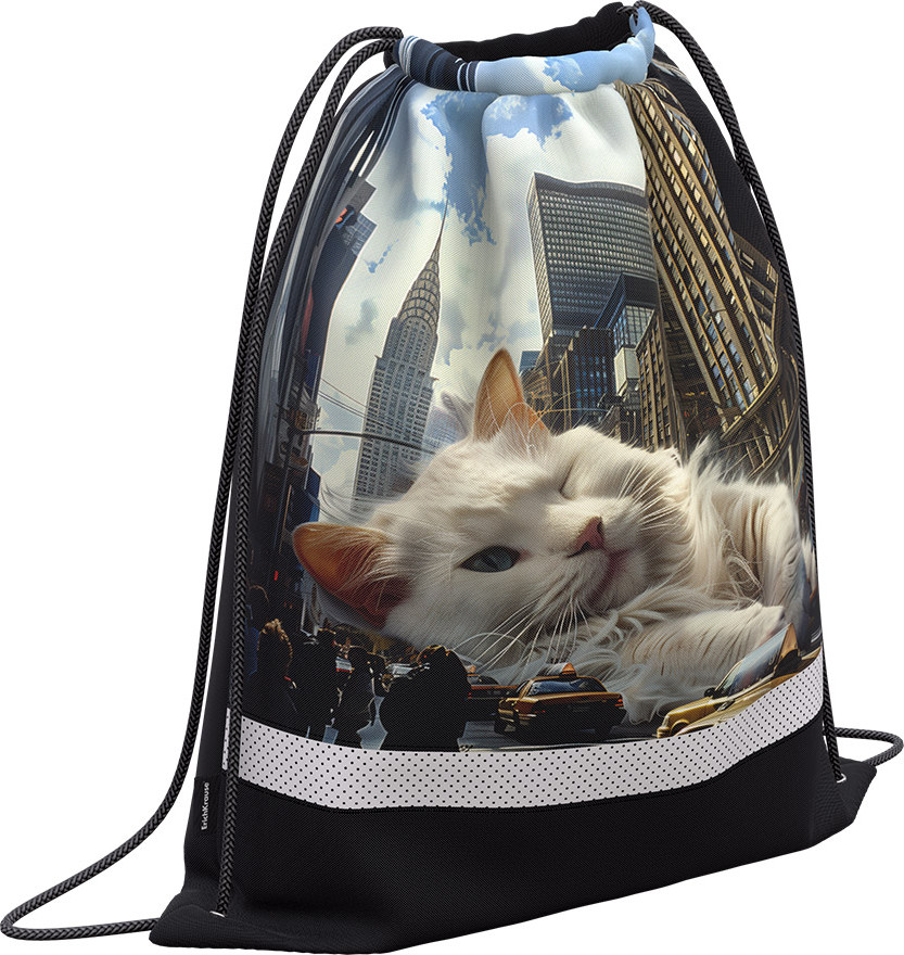 Мешок для обуви с вентиляцией | Big City Cats | Erich Krause