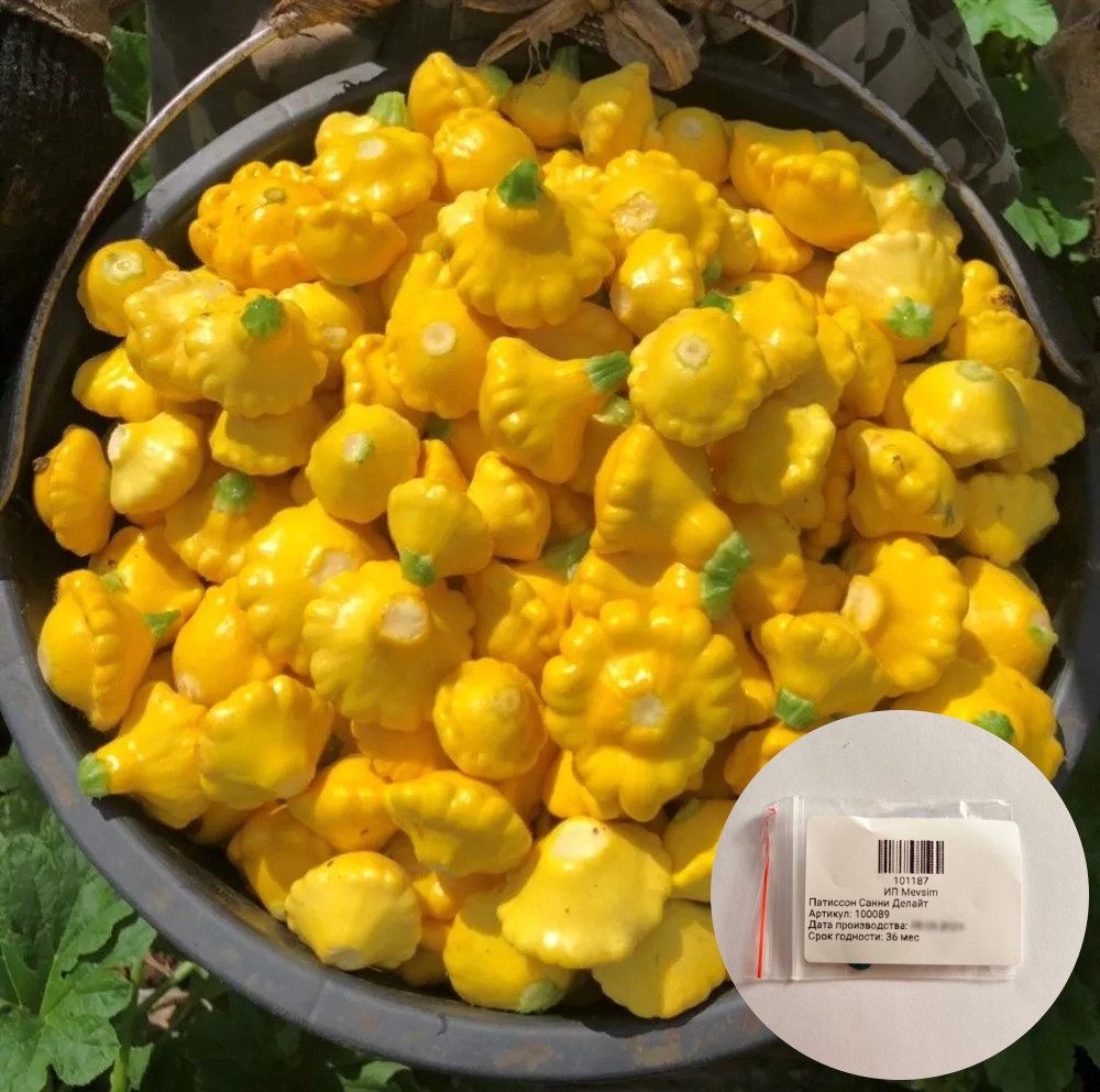 Семена патиссона «Санни Делайе F1»