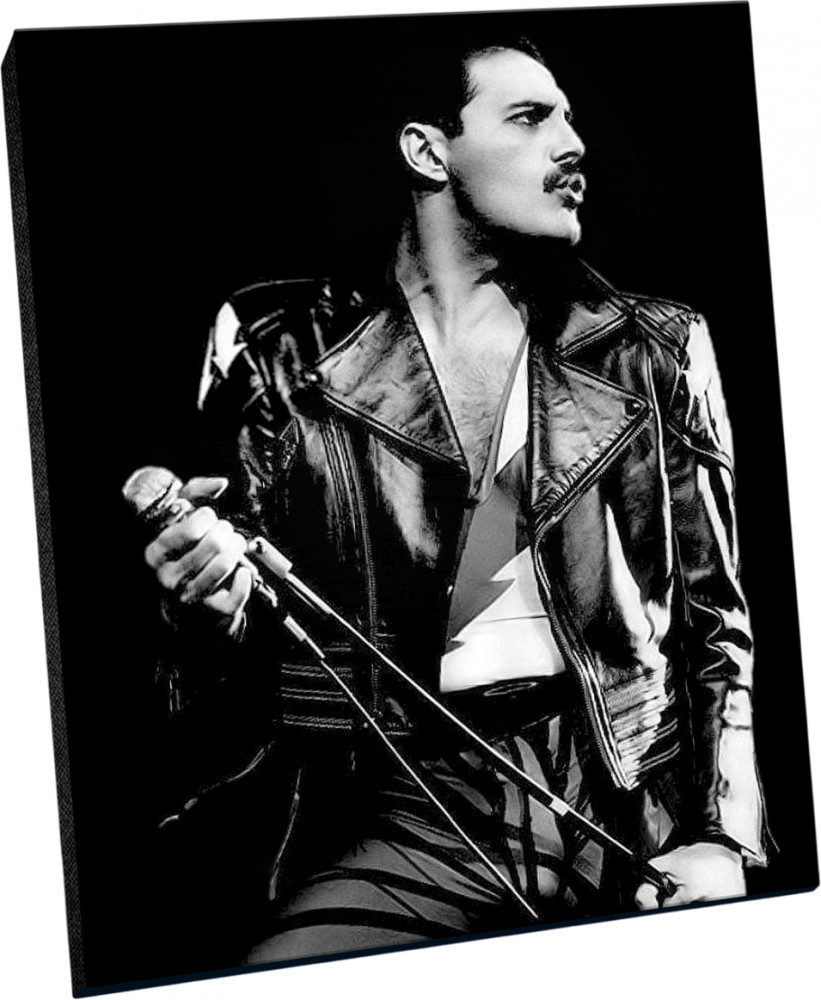 Картина по номерам «Фредди Меркьюри» | Черный холст | Флюид