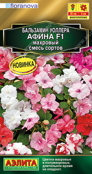 Бальзамин Уоллера махровый «Афина F1» | Аэлита