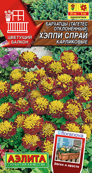 Бархатцы карликовые «Хэппи спрай» | Цветущий балкон | Аэлита