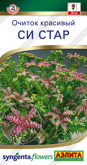 Очиток красивый «Си стар» | Аэлита