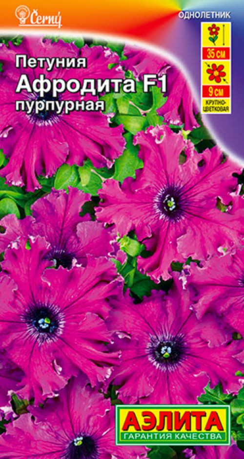 Петуния «Афродита F1 Пурпурная» | Аэлита