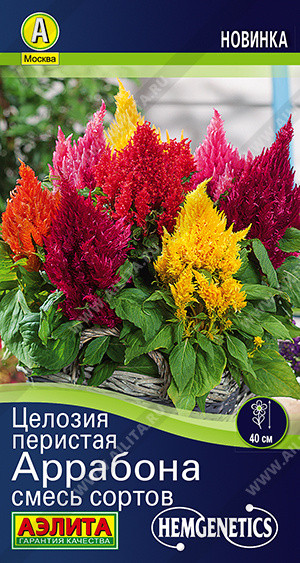 Целозия смесь сортов «Аррабона» | Аэлита