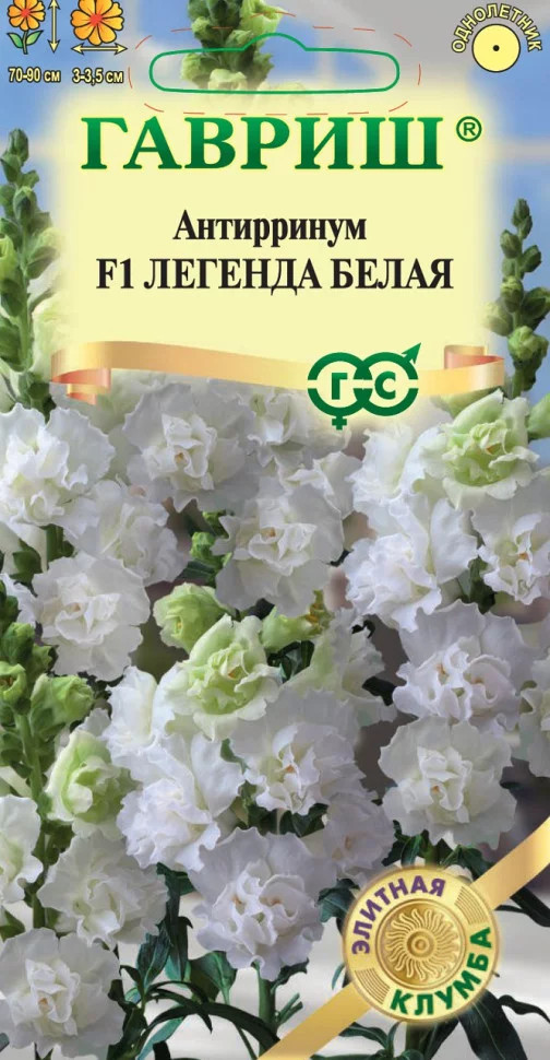 Антирринум (Львиный зев) «Легенда белая F1» | Элитная клумба | Гавриш