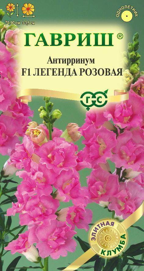 Антирринум (Львиный зев) «Легенда розовая F1» | Элитная клумба | Гавриш
