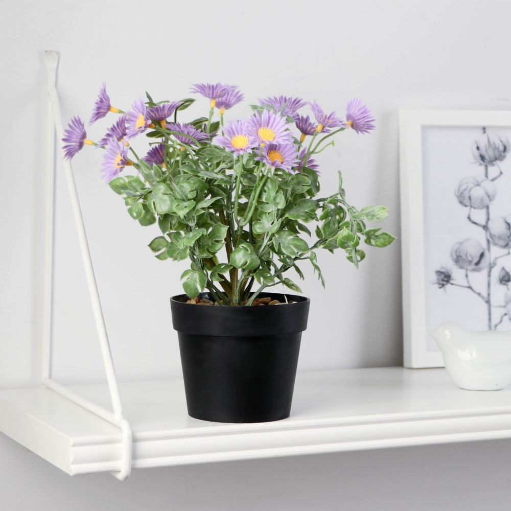 Бонсай в горшке «Ромашка махровая» | ИнтерPresent