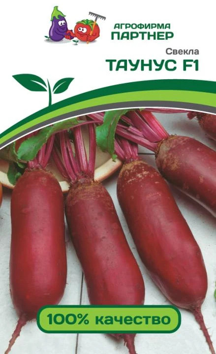 Свекла «Таунус F1» | Партнер
