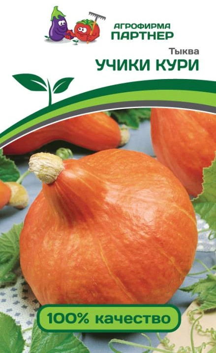 Тыква «Учики Кури» | Партнер