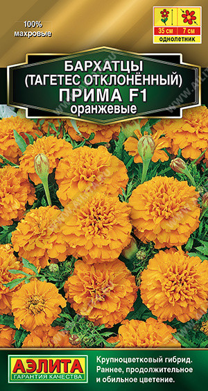 Бархатцы оранжевые отклоненные «Прима F1» | Золотая серия | Аэлита