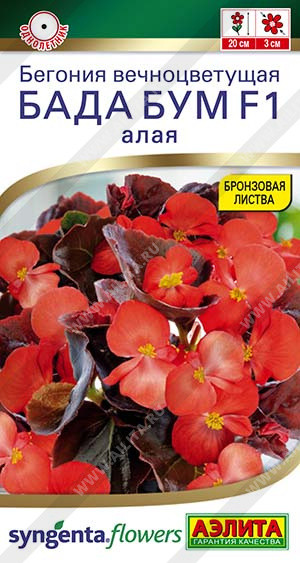 Бегония алая «Бада бум F1» | Syngenta Flowers | Аэлита