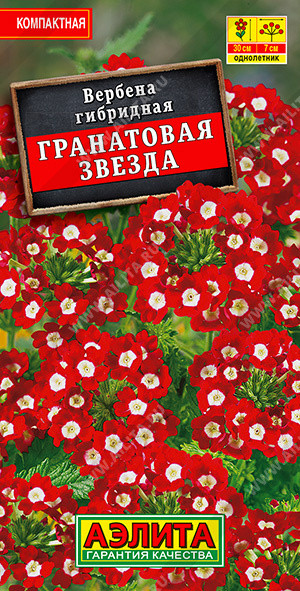 Вербена «Гранатовая звезда» | Однолетние цветы (Аэлита) | Аэлита