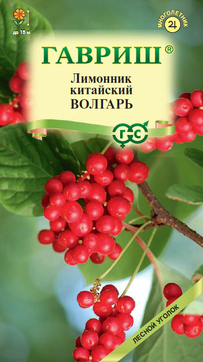 Лимонник китайский «Волгарь» | Лесной уголок | Гавриш