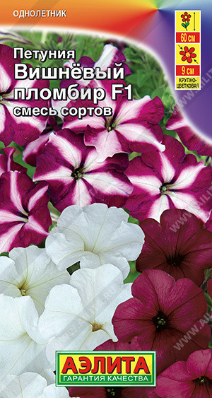 Петуния крупноцветковая ампельная, смесь сортов «Вишневый пломбир F1» | Однолетние цветы (Аэлита) | Аэлита