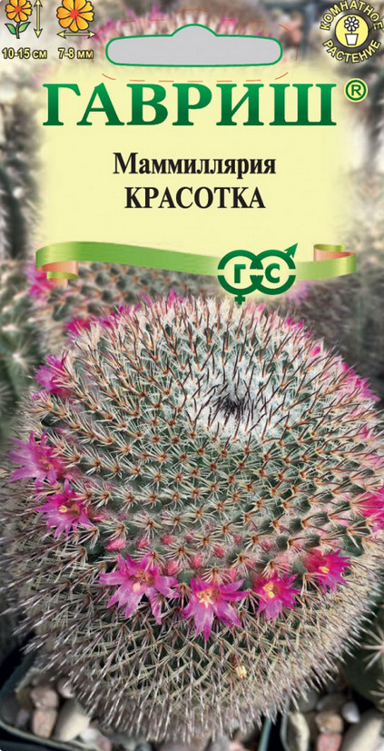 Семена «Маммиллярия Красотка» | Гавриш