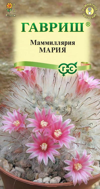 Семена «Маммиллярия Мария» | Цветочная коллекция | Гавриш