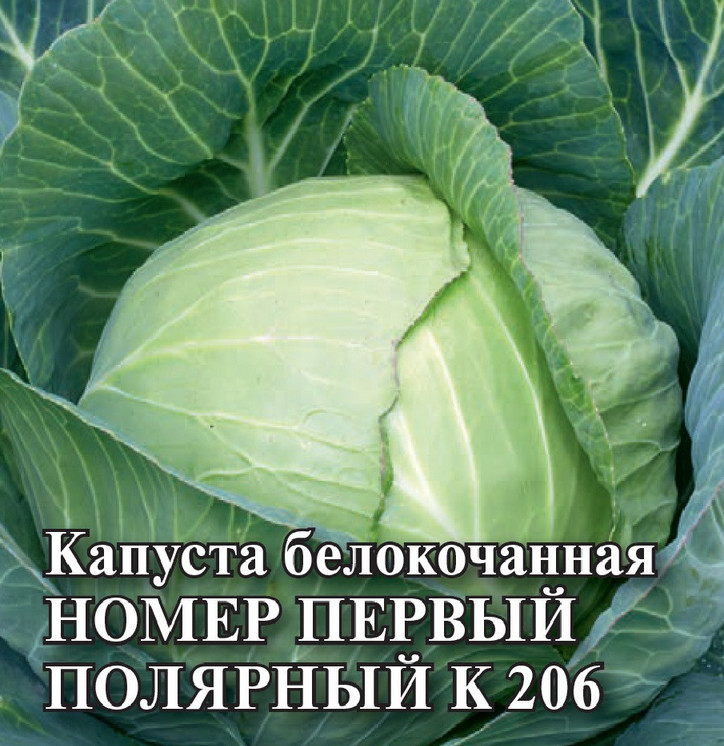 Капуста белокочанная «Номер первый полярный К 206» | Фермерское подворье | Гавриш