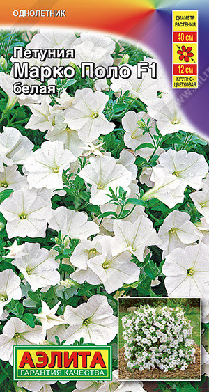 Петуния белая «Марко Поло F1» | Однолетние цветы (Аэлита) | Аэлита