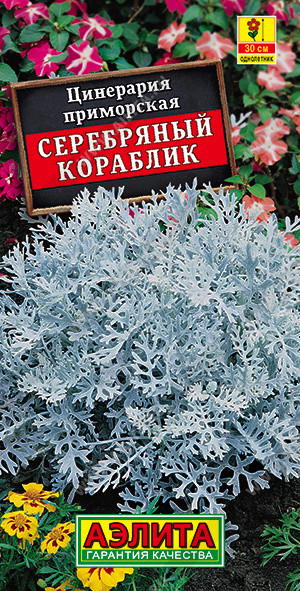 Цинерария «Серебряный кораблик» | Однолетние цветы (Аэлита) | Аэлита