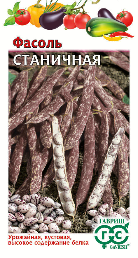 Фасоль «Станичная» | Овощная коллекция | Гавриш