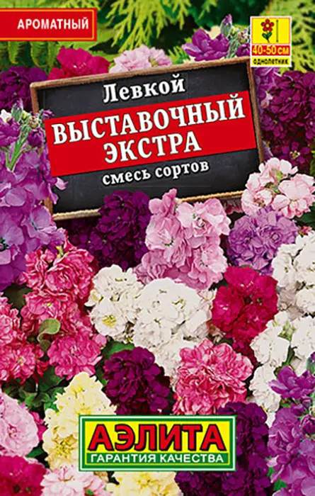 Левкой, смесь сортов «Выставочный экстра» | Лидер (Аэлита) | Аэлита