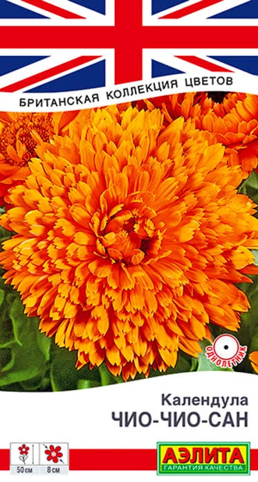 Календула «Чио-Чио-сан» | Британская коллекция цветов | Аэлита