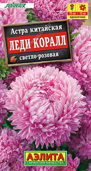 Астра «Леди Коралл» | Аэлита