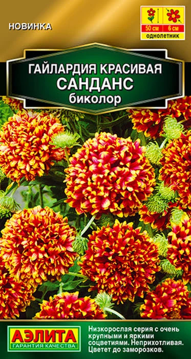 Гайлардия «Санданс биколор» | Золотая серия | Аэлита