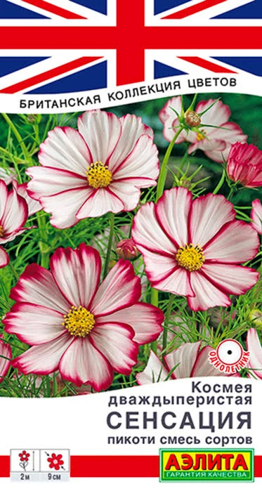 Космея, смесь сортов «Сенсация пикоти» | Британская коллекция цветов | Аэлита