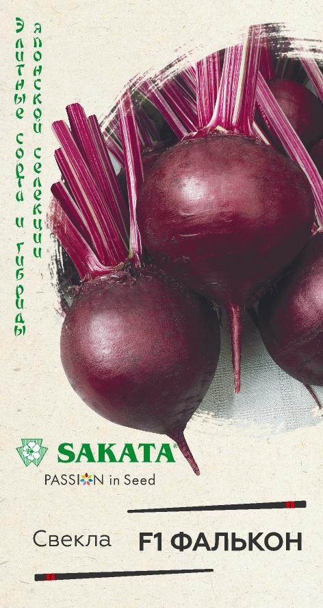 Свекла «Фалькон F1» | Sakata