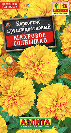 Кореопсис «Махровое солнышко» | Многолетние цветы (Аэлита) | Аэлита