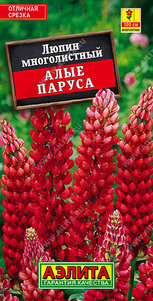 Люпин многолетний «Алые паруса» | Многолетние цветы (Аэлита) | Аэлита