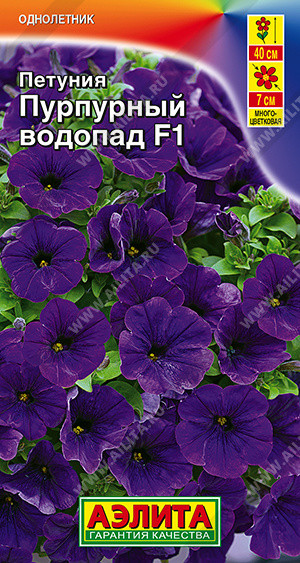 Петуния «Пурпурный водопад F1» | Однолетние цветы (Аэлита) | Аэлита