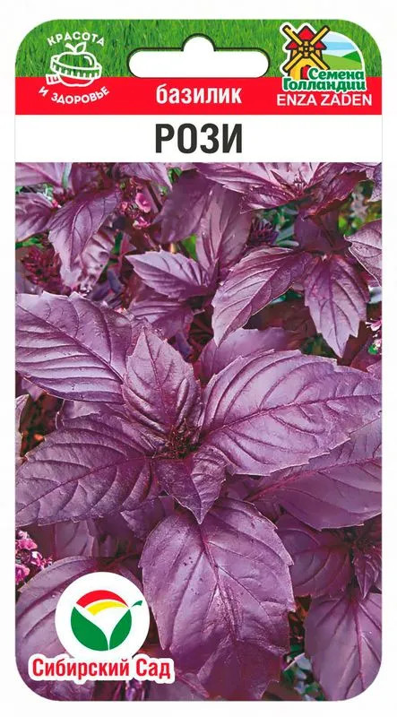 Базилик «Рози» | Сибирский Сад