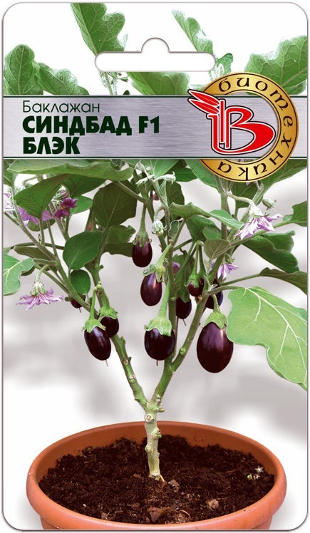 Баклажан «Синдбад F1 Блэк» | Биотехника