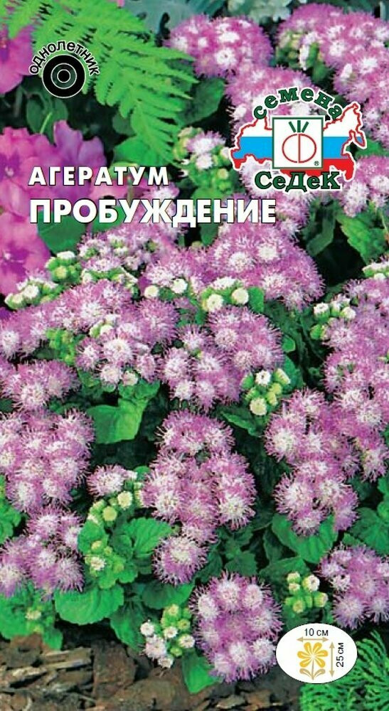 Семена агератума «Пробуждение» | СеДеК