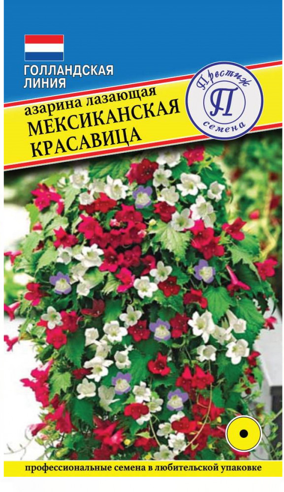 Семена азарины лазающей «Мексиканская красавица» | Престиж